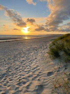 Le Chaton des Dunes - Denneville-Plage - 4