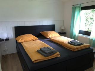Modernes Ferienhaus Willingen - Willingen - 3