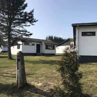 Modernes Ferienhaus Willingen - Willingen - 1