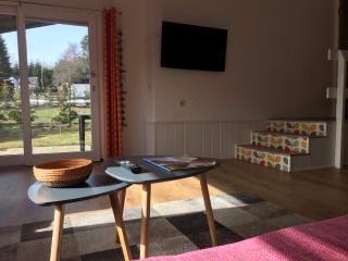 Modernes Ferienhaus Willingen - Willingen - 0