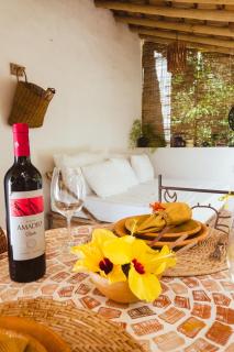 Casa da mata - Porto Seguro - 8
