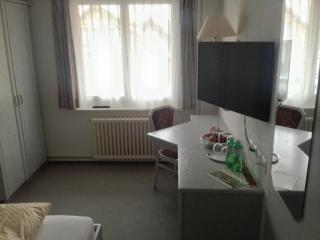 Landhotel Hirschen - Trüllikon - 3