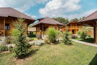 Kedar selo Goč - Goč - 9