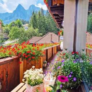 Amor Tirol Bușteni - Buşteni - 7