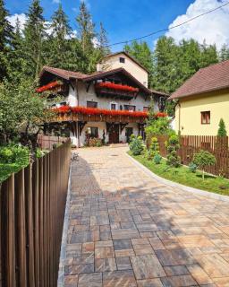 Amor Tirol Bușteni - Buşteni - 2