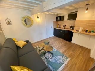 Le studio jaune - studio hypercentre Rouen - 107 - 4