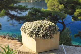 Apartments by the sea Ubli, Lastovo - 16599 - Lastovo - 2