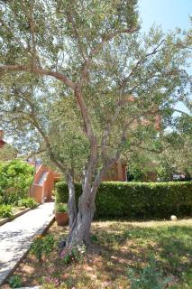 Apartments by the sea Tkon, Pasman - 16589 - Tkon - 4