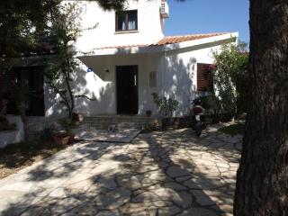 Apartments by the sea Vir - Kozjak, Vir - 16734 - 9