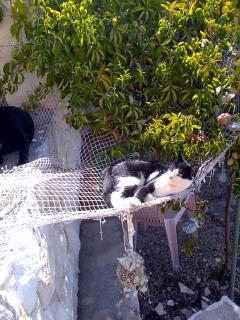 Apartments by the sea Sevid, Trogir - 16897 - 4