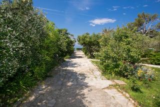 Family friendly seaside apartments Novalja, Pag - 16866 - Novalja - 3