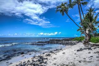 Newly Upgraded 1BR Unit Near Beach max of 5 Guests - Kailua-Kona - 3