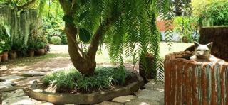 Sweet Floresta Pool Villa - Sattahip - 4