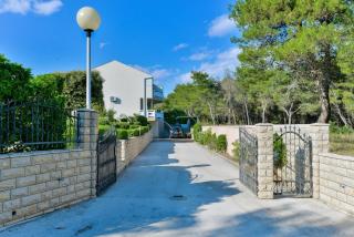 Apartments by the sea Vir - Torovi - Vir - Pedinka, Vir - 18587 - Vir - 0