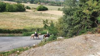 B&B LE TERME - Rivanazzano Terme - 4