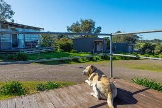 Harmony at Tower Hill - Koroit - 4