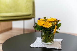 Apartments Samberg - 5