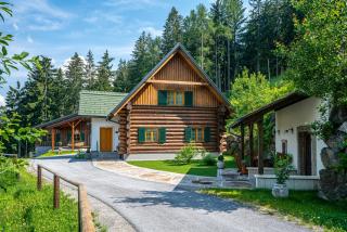 Schilcherland Chalet Südsteiermark - Trahütten - 8
