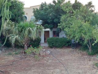 Christin P House with a large yard and parking - Agios Nikolaos - 7