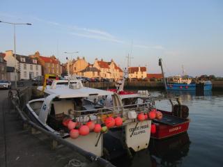 Anchor House - Pittenweem - 9