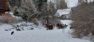 Villa Eva & Lilou Pod Rysianką - 1