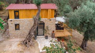 Olive Treasure - Ulcinj - 7