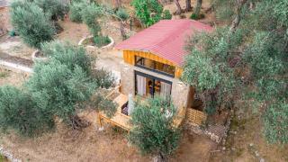 Olive Treasure - Ulcinj - 5