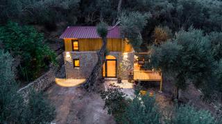 Olive Treasure - Ulcinj - 6