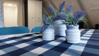 Słoneczny apartament - Duszniki Zdrój - 7