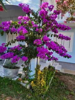 Villa Pera Apartment Gross - Vodice - 8