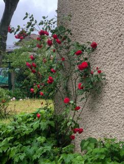 Gîte de Pampe Lune & Spa - 1