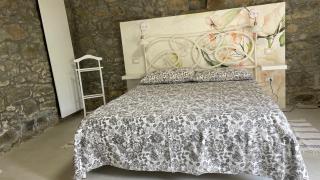 Metato con piscina e giardino - 8