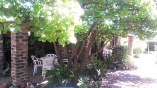 Onze Rust Guest House and caravanpark - Colesberg - 4