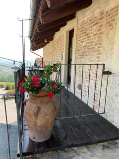 Sul Bric Dei Capalot - La Morra - 9