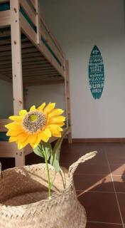 Beach House - Casa de Férias MONTE CLÉRIGO - 7