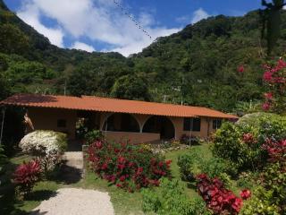 El Zumbito - El Valle de Antón - 4
