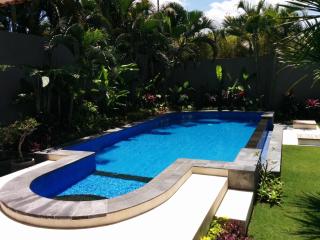 Villa Viona 4 - Seminyak - 0