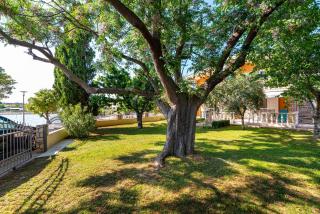 Apartments by the sea Privlaka, Zadar - 18652 - Privlaka - 6