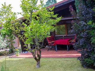 Ferienhaus, Suhlendorf - Suhlendorf - 5