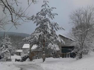 Studio Montagne avec Terrasse Privative, Wifi, Près de Sentiers de Randonnée, Animaux Acceptés - FR-1-496-224 - Saint-Priest-la-Prugne - 8