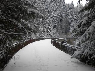 Charmant studio en montagne avec jardin, animaux admis - FR-1-496-224 - 6