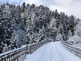 Studio Montagne avec Terrasse Privative, Wifi, Près de Sentiers de Randonnée, Animaux Acceptés - FR-1-496-224 - Saint-Priest-la-Prugne - 4