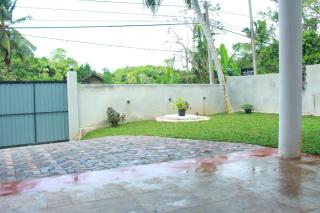 Coconut Tree Shade - Mirissa - 8