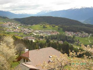 Gasthof Hohenbichl - Terenten - 4