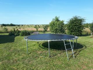 Svečių namai Tuopa, Palanga - 1