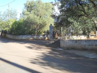 Villa Conte 2 case indipendente in Salento - Francavilla Fontana - 9
