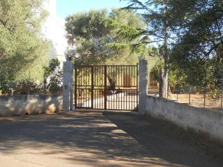 Villa Conte 2 case indipendente in Salento - Francavilla Fontana - 8