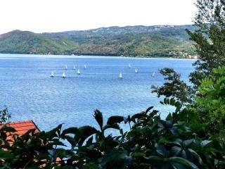 Kuca za odmor-Zelena Oaza - Golubac - 2