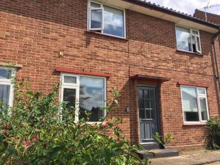 Golden Triangle House - Norwich - 5