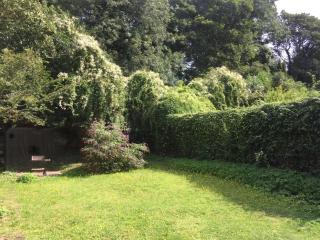 Golden Triangle House - Norwich - 4